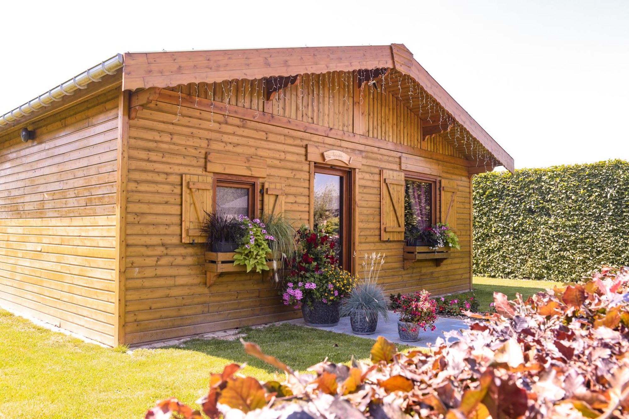 Le Domaine Des Fagnes Villa Sains-du-Nord Exterior photo